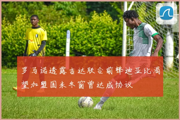 罗马诺透露吉达联合前锋迪亚比渴望加盟国米冬窗曾达成协议